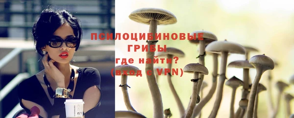 винт Слюдянка
