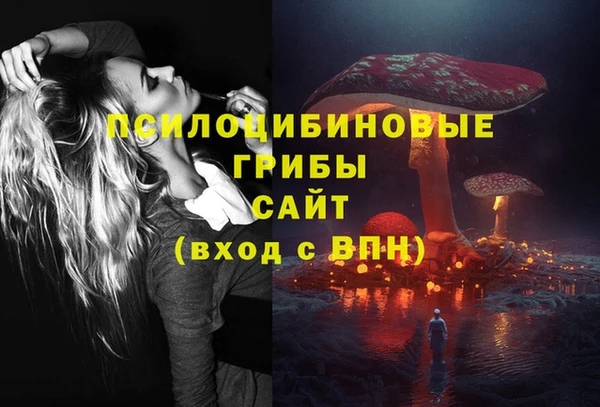 mdma Богородицк