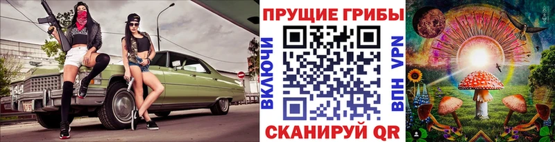 Псилоцибиновые грибы Magic Shrooms  даркнет сайт  Красавино 